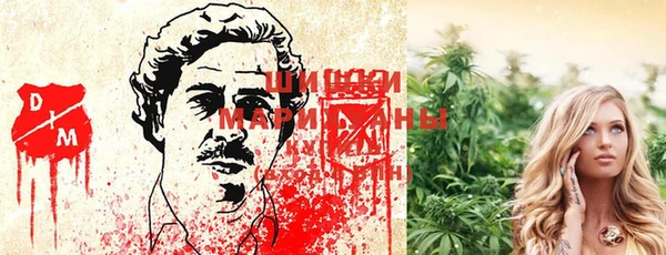 твердый Лиски