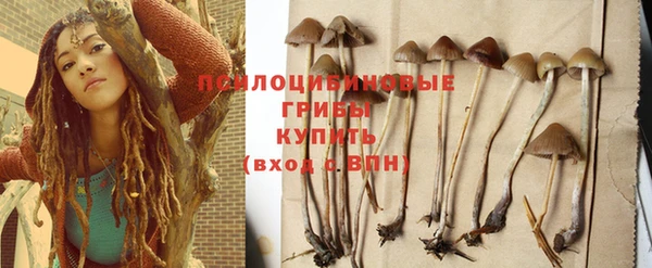 спайс Братск