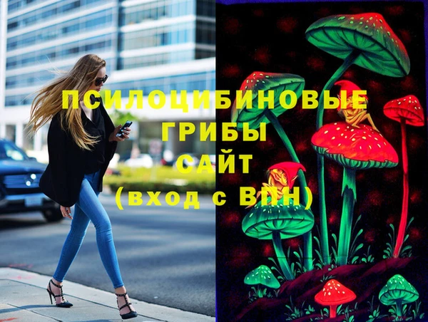 твердый Лиски