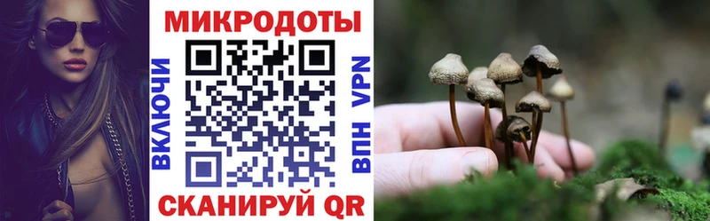 гидра   Торопец  Псилоцибиновые грибы MAGIC MUSHROOMS 