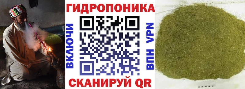 МАРИХУАНА Amnesia  сколько стоит  блэк спрут как войти  Торопец 
